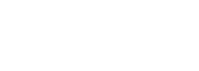 DYNDES INC